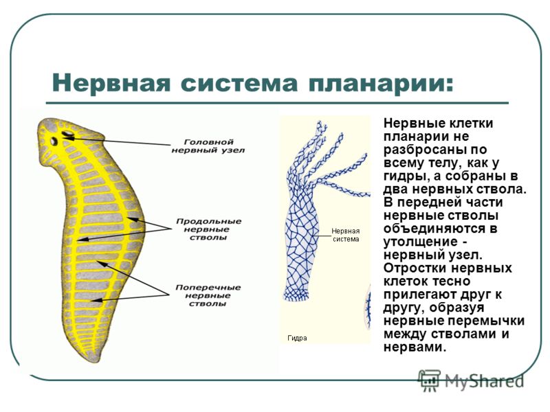 Кракен ссылка 2025